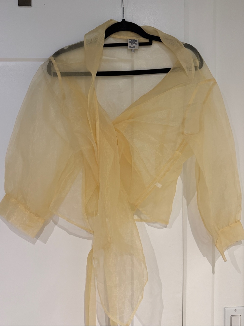 Sheer Tie-Front Blouse in Pale Yellow